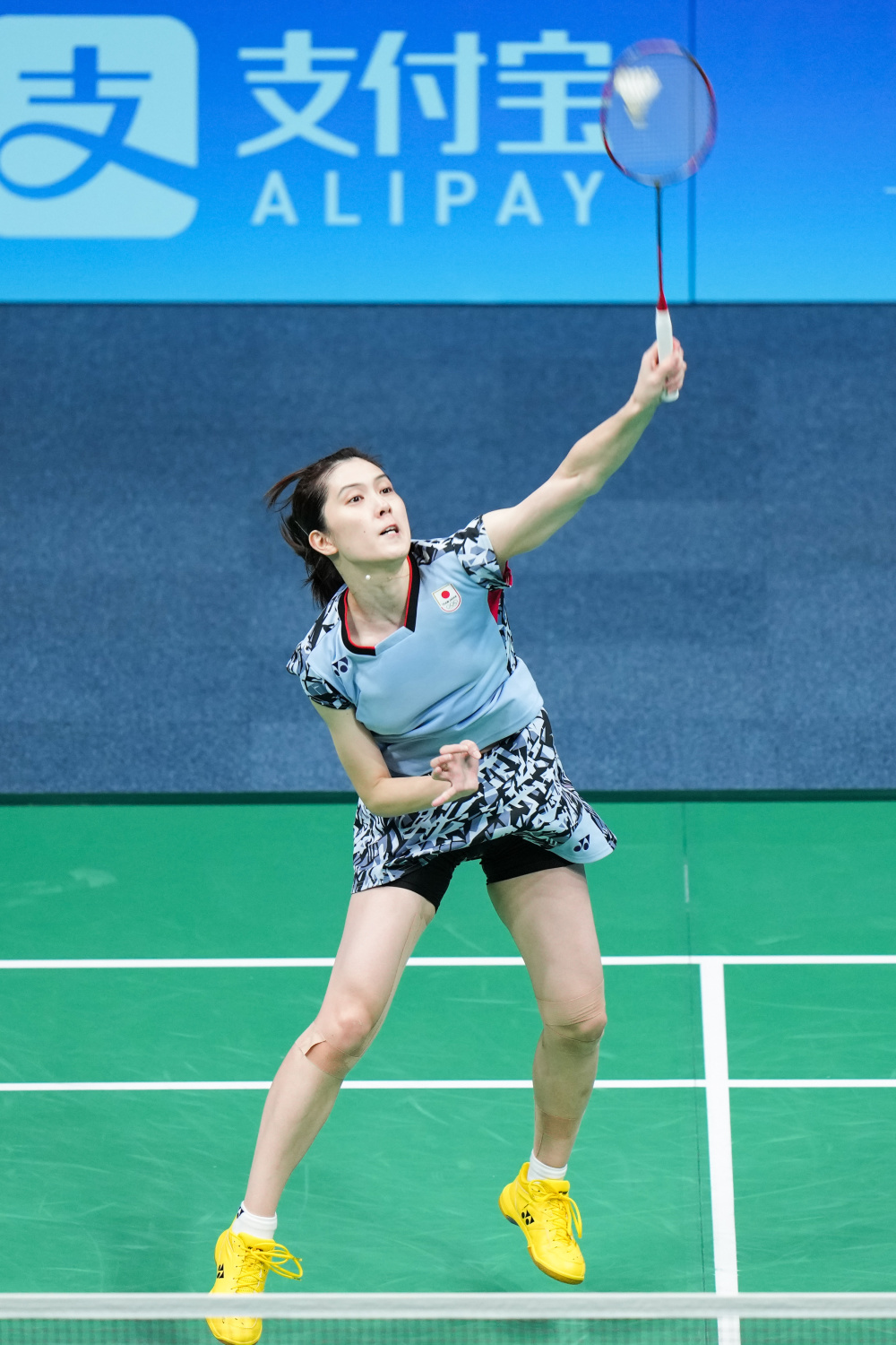 了较高的经 了较高的经