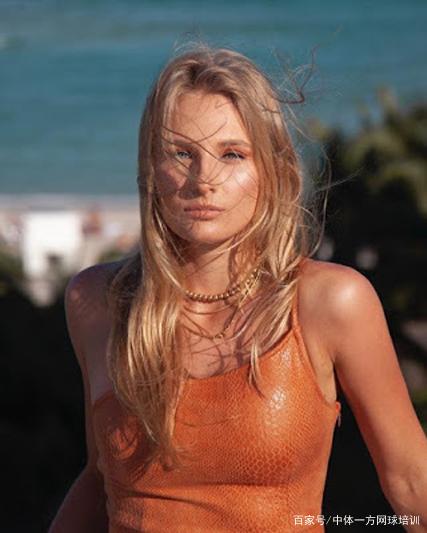 共性规律是 共性规律是